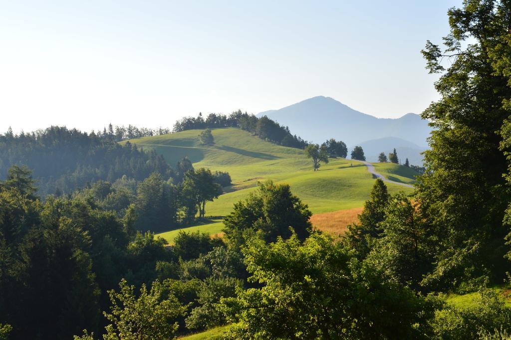 Apartmens And Rooms Sostar Cerkno Exterior foto