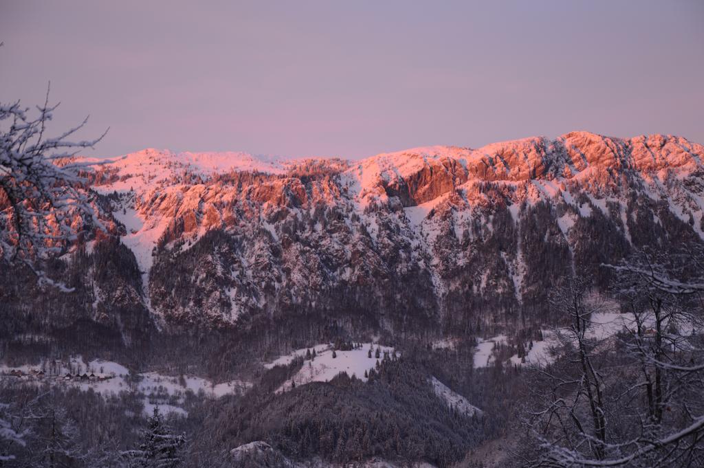 Apartmens And Rooms Sostar Cerkno Exterior foto