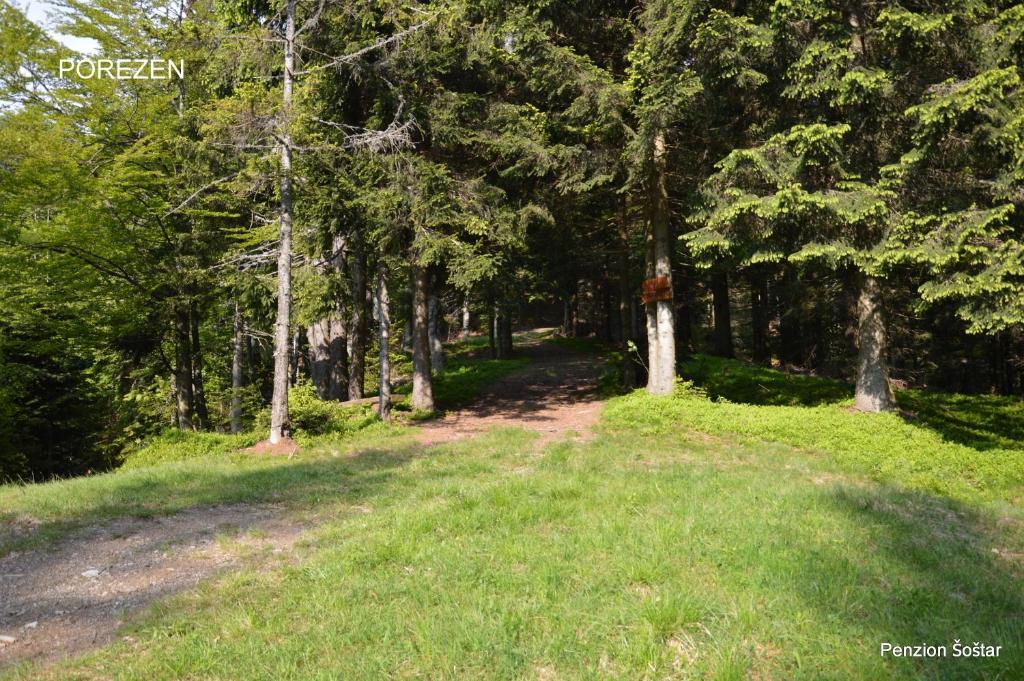 Apartmens And Rooms Sostar Cerkno Exterior foto
