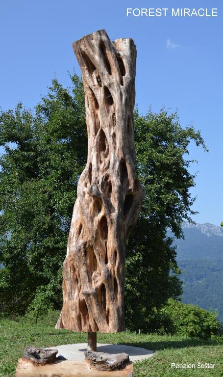 Apartmens And Rooms Sostar Cerkno Exterior foto
