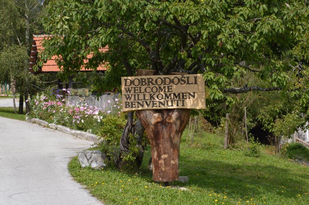 Apartmens And Rooms Sostar Cerkno Exterior foto
